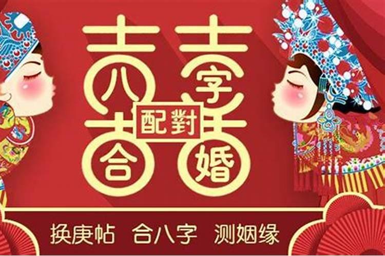 十二生肖运程查询