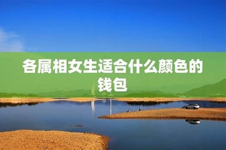 2025年82年狗女的全年运势如何