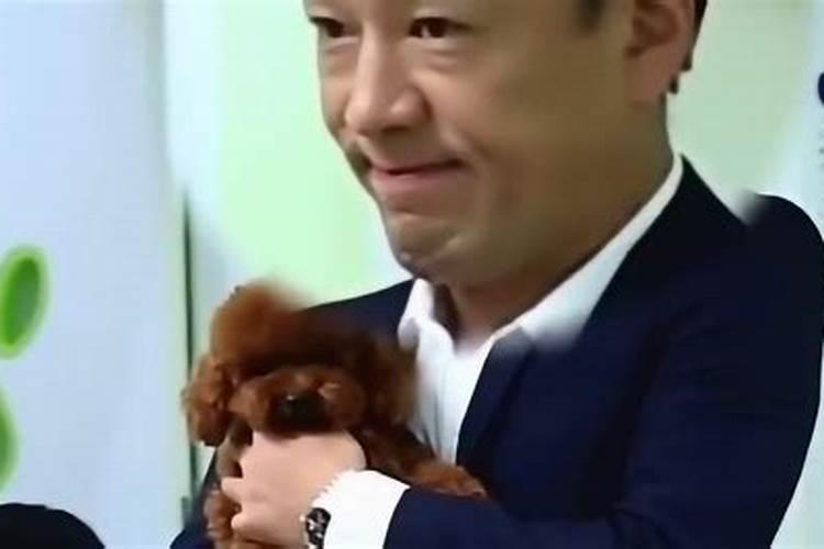 属猴人2025年全年运势运程