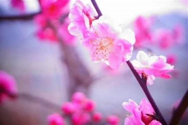 冬至是农历几月几日几点