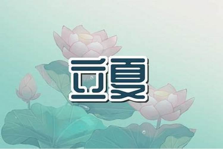 自贡灯会春节假期门票收入