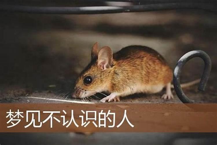 12生肖岁数对照表