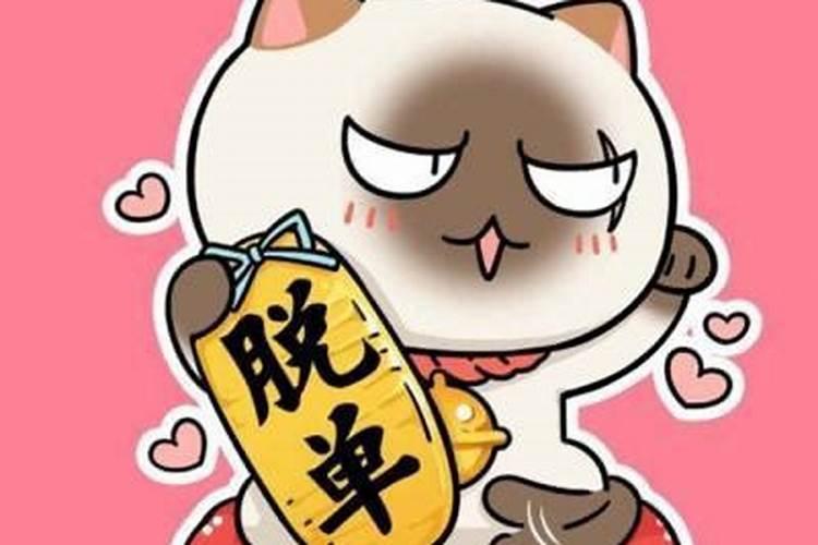 霍州庙会时间表2025年