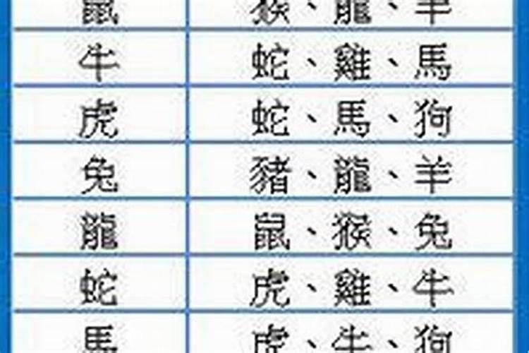 牛年哪些生肖犯太岁