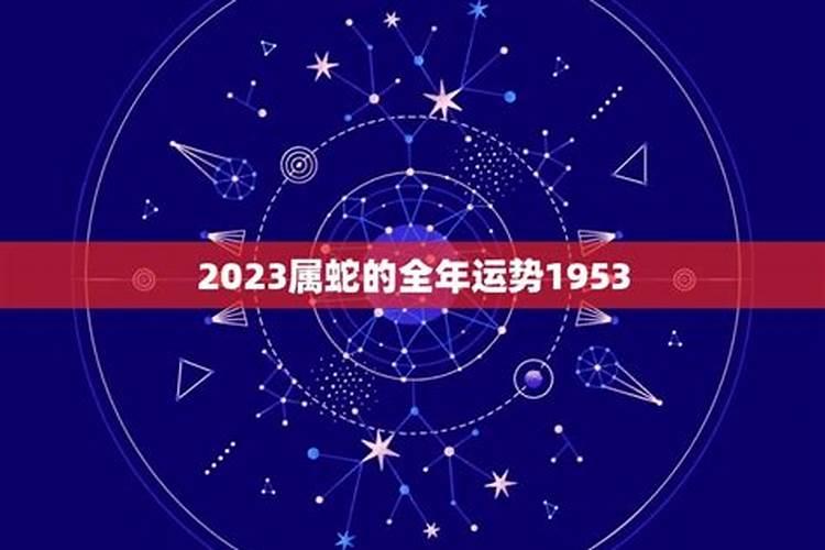 属兔人2025年综合运势
