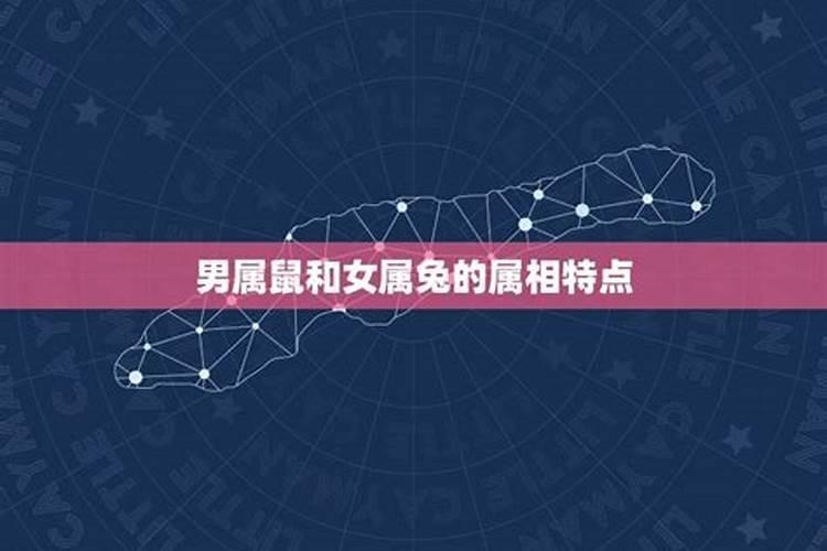 属鼠男和属鼠女的婚姻相配吗