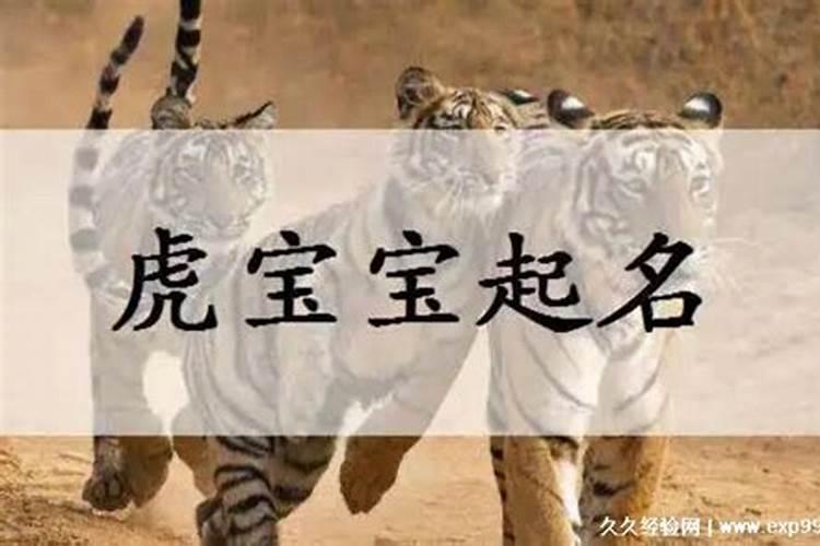 好听稀少的男孩名字虎宝宝 好听稀少的男孩起名