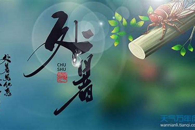 喜用神为木的人,适合做什么行业？