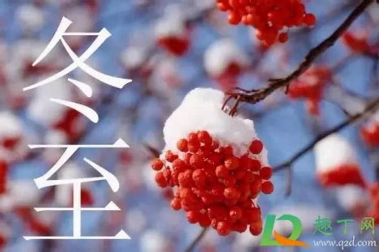冬至和春节有什么不同吗？