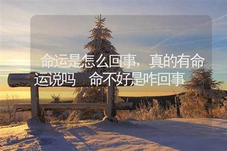 如果一个人上半生干嘛都不顺,是不是前世造孽太多,今生得到报应了百 ...