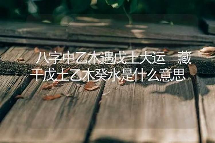 五行说的土命是什么意思