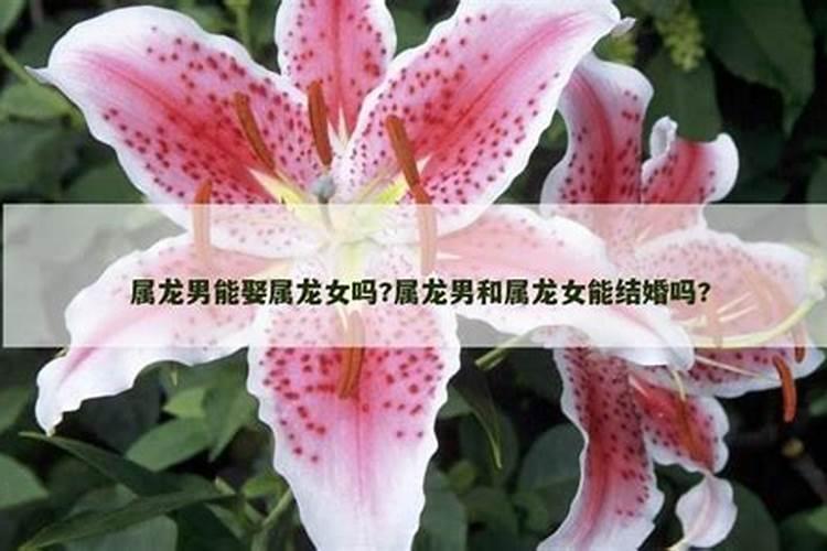 正月二十一是什么日子