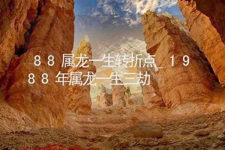 1988年属龙的命运(1988属龙命苦)