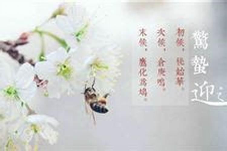 为什么说惊蛰出生的人不好运势命理