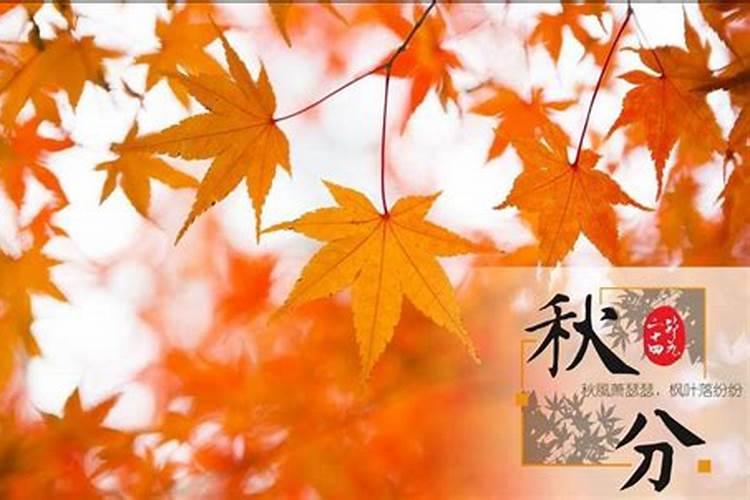 秋分有什么民俗活动