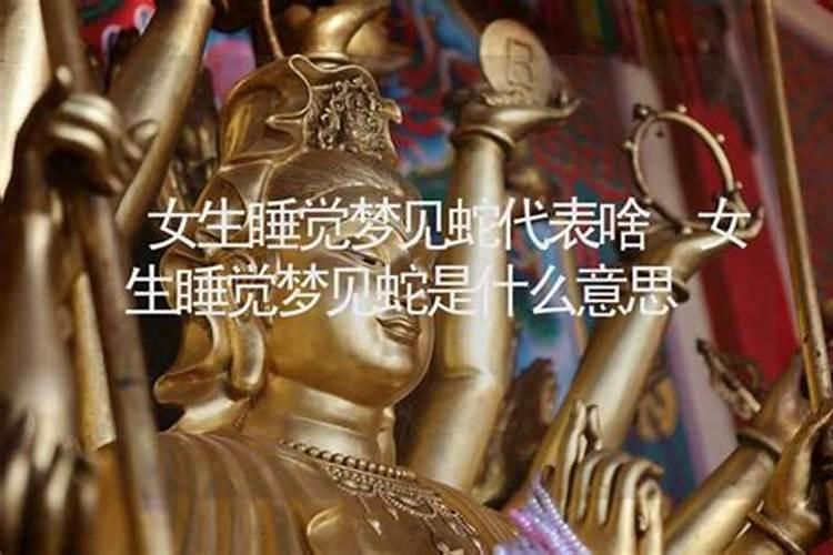 白天做梦梦到蛇是什么意思 白天做梦梦到蛇的含义