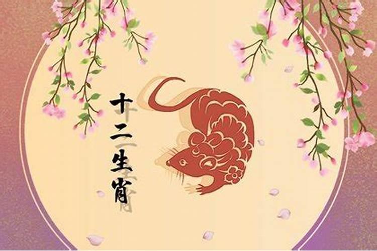 1984年属鼠的男人是什么命人 一生命运如何？