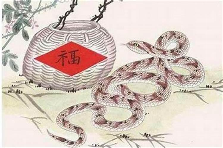 生肖兔2025运势详解