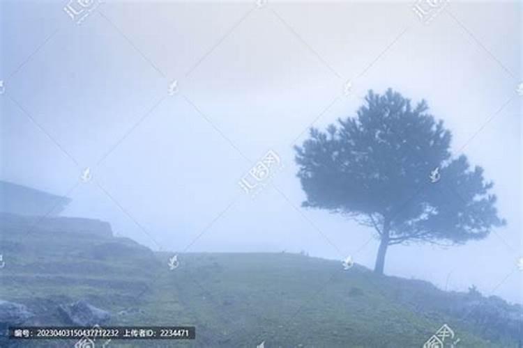 阴历8月17出生的是什么星座性别导致性格差异？
