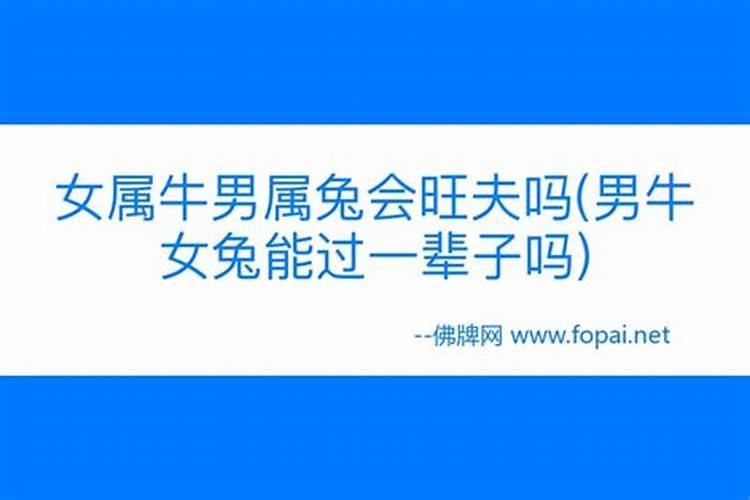 1999年属兔婚配牛怎么样了 两人相处需要磨合