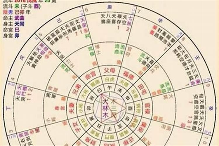 六爻和八字哪个准