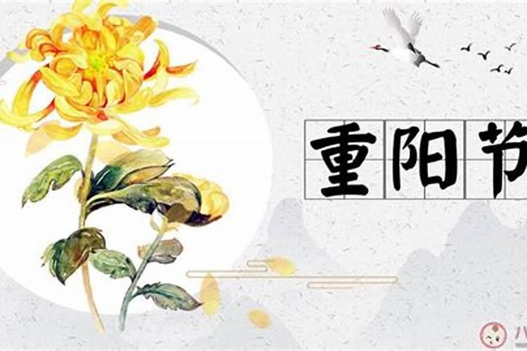 2025巨蟹座全年运势