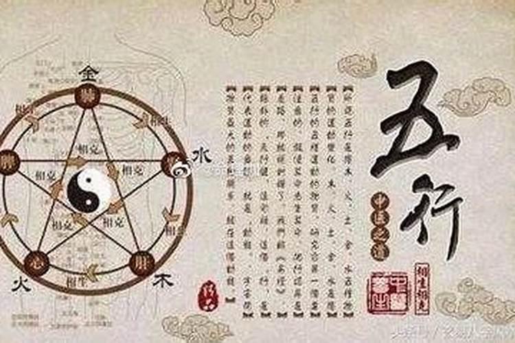 午午自刑什么意思