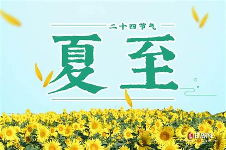 梦见挖掘坟墓拔坟