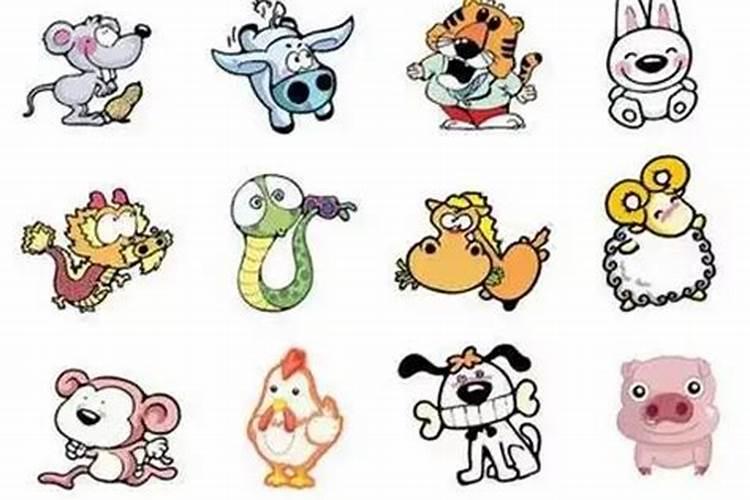 12生肖属马和什么比较合,属马的三合三害
