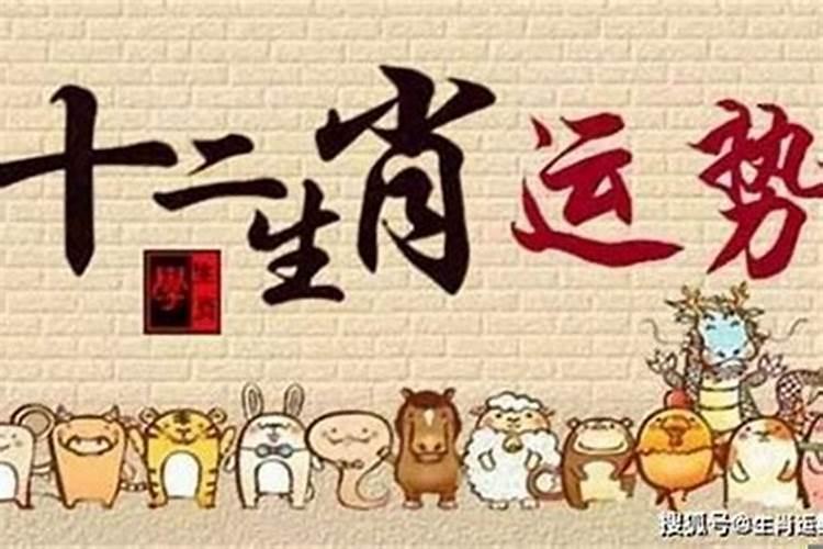 2022年属兔8月运程详细分析