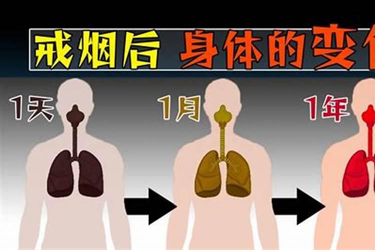 如何提高健康运势