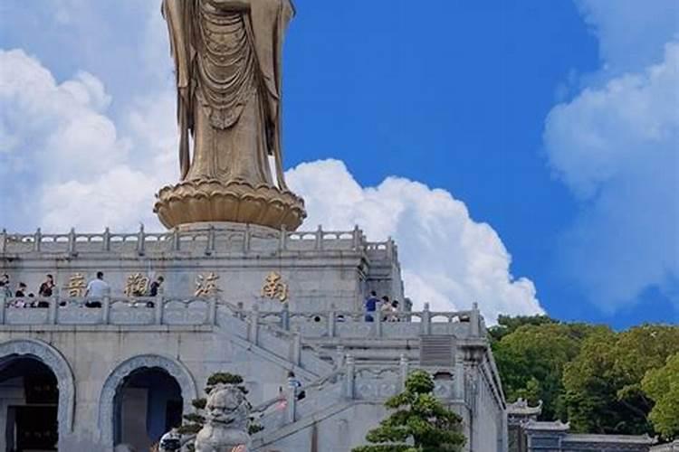 王思聪去普陀山求姻缘,普陀山求姻缘灵验故事