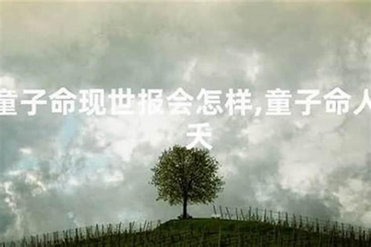 梦见猪仔是什么意思 梦见猪仔是指什么
