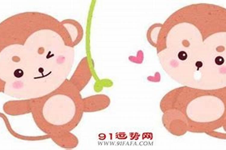 属猴男最佳婚配属相是什么