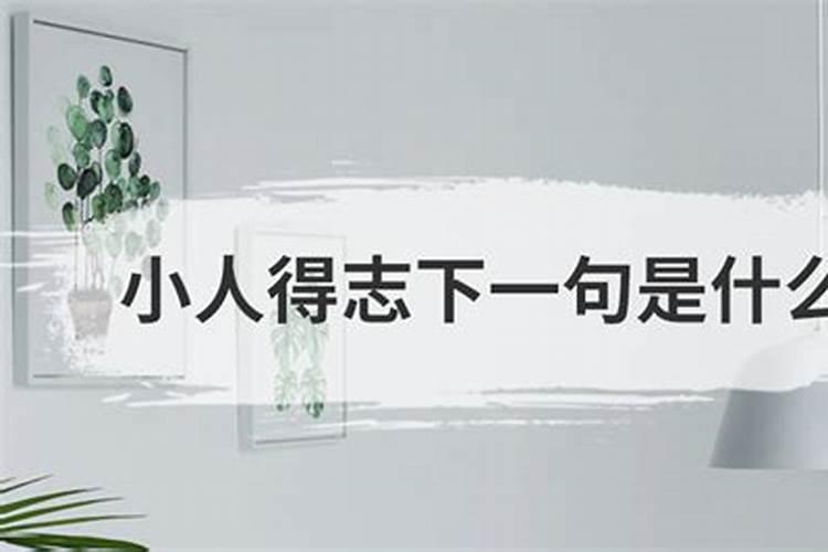 小人得志是十二生肖哪个
