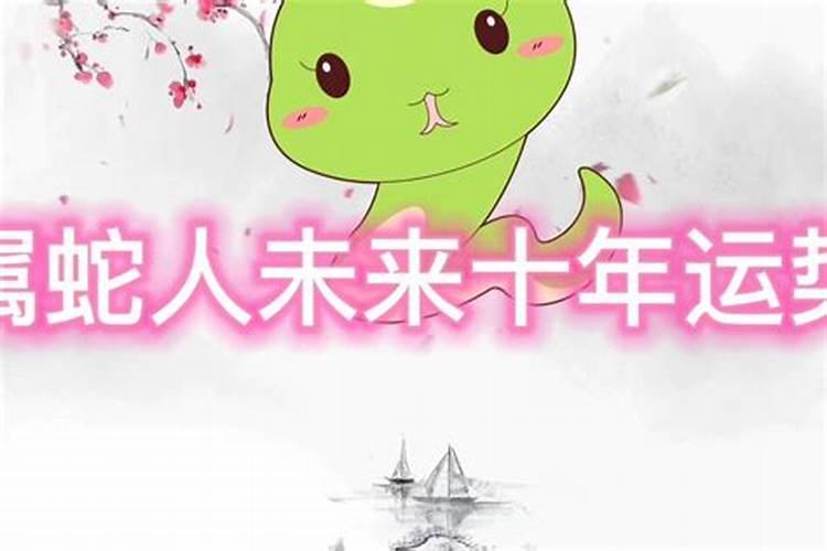 蛇年人2024年运程每月运气如何