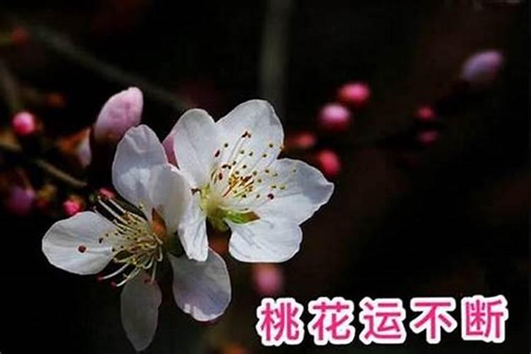 2025年牛女的全年运势