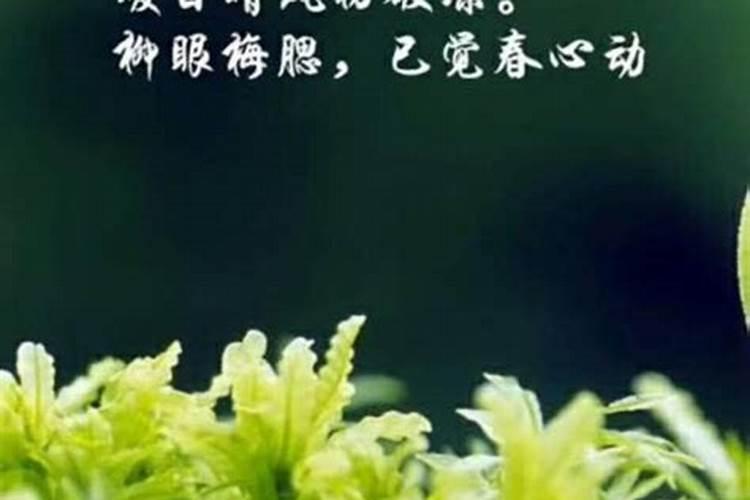 立春和春节哪个早立春和春节哪个大