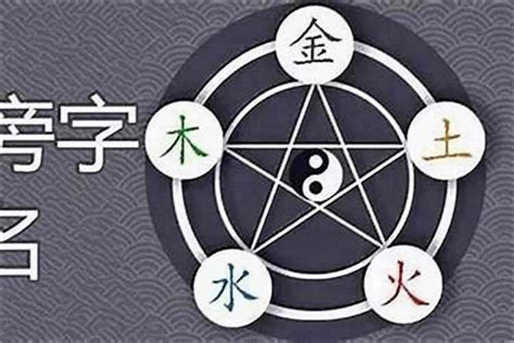 属鸡男的最佳配偶是什么,属鸡男最佳婚配前十名属相