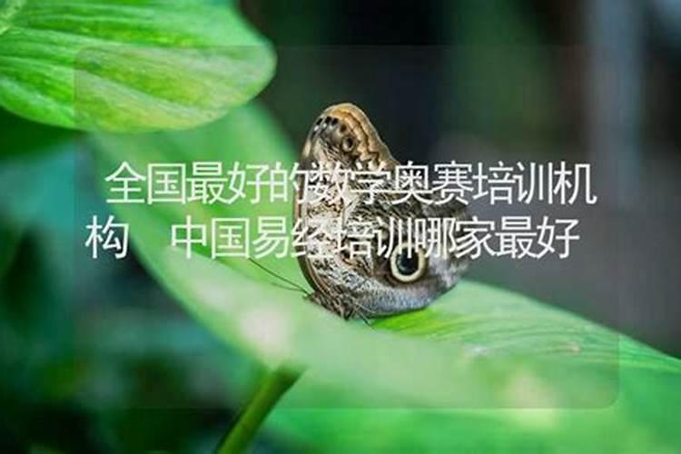 算命论坛有哪些