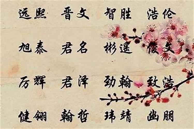 请问我是1992.年农历八月初一生的会是怎样运势