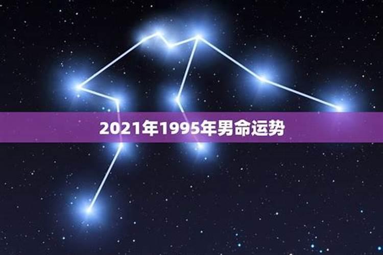 95年属猪2025年运势及运程