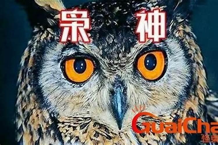 八字中枭是什么意思