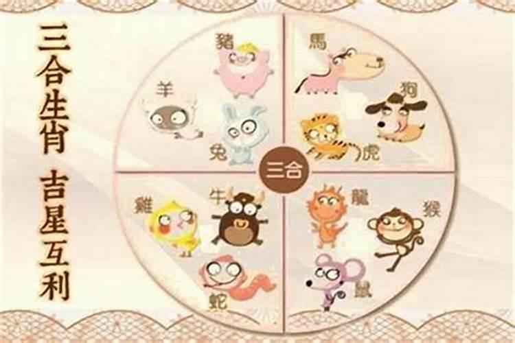 75年属兔是什么命和79年火命羊配吗