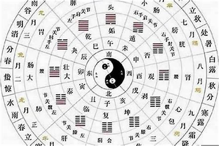 1971年1年24日阳历出生的人,到底应该属什么属相？