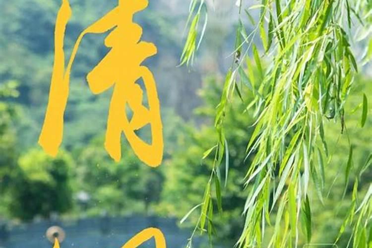 农历八月出生属龙女,属龙的8月份是什么命