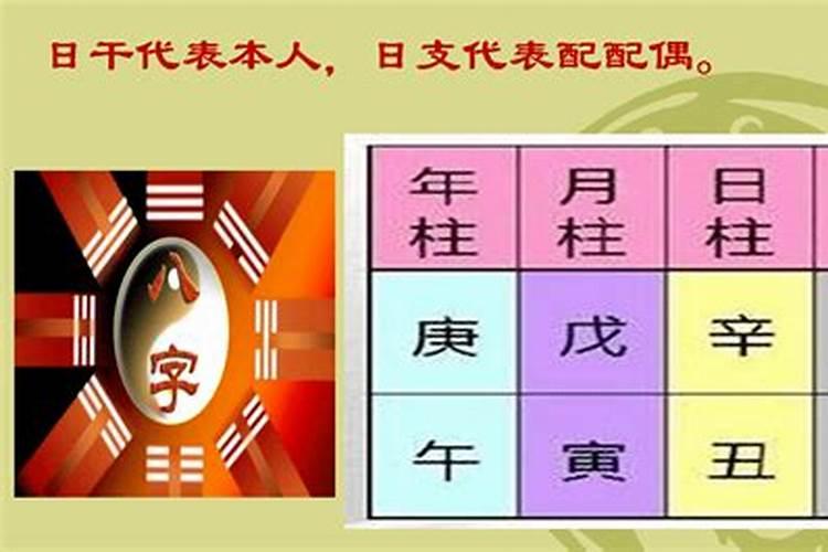 冬至吃饺子是哪里的风俗