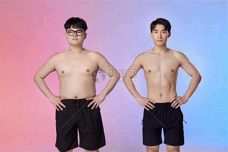 九五属猪男2024年运势 95年属猪男2024年健康运势