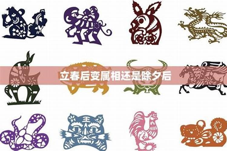 生肖蛇2025年运势及运程如何