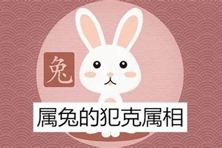 属兔和哪个属相相克